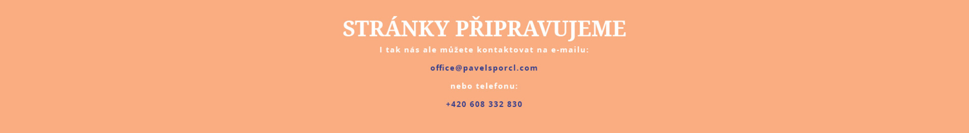 Pavel Šporcl Agency